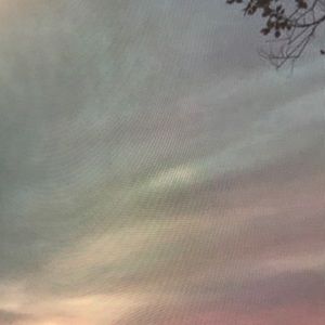 Meet your Posher, Parker